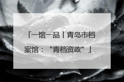 一馆一品丨青岛市档案馆：“青档资政”
