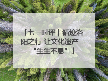 七一时评｜循迹洛阳之行 让文化遗产“生生不息”