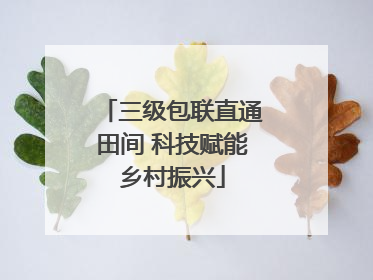 三级包联直通田间 科技赋能乡村振兴