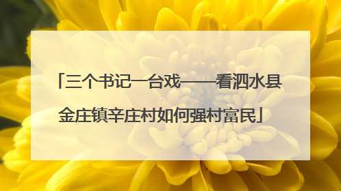 三个书记一台戏——看泗水县金庄镇辛庄村如何强村富民