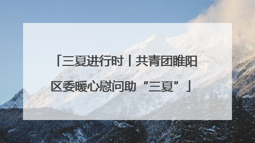 三夏进行时丨共青团睢阳区委暖心慰问助“三夏”