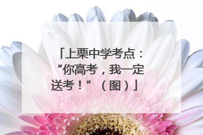 上栗中学考点：“你高考，我一定送考！”（图）