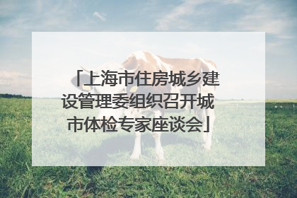 上海市住房城乡建设管理委组织召开城市体检专家座谈会