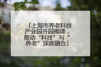 上海市养老科技产业园开园揭牌，推动“科技”与“养老”深度融合