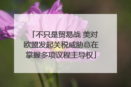 不只是贸易战 美对欧盟发起关税威胁意在掌握多项议程主导权