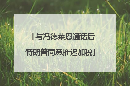与冯德莱恩通话后 特朗普同意推迟加税