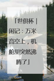世俱杯｜闲记：万米高空上，机舱里突然沸腾了