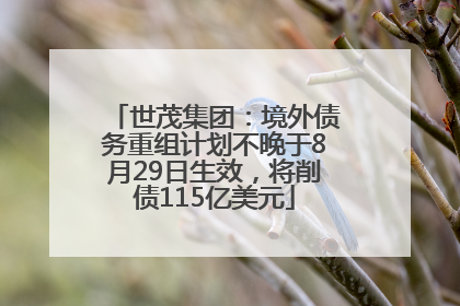 世茂集团：境外债务重组计划不晚于8月29日生效，将削债115亿美元