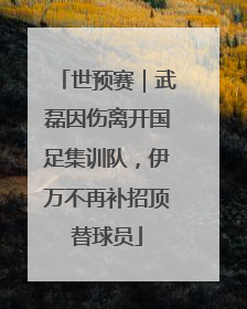 世预赛｜武磊因伤离开国足集训队，伊万不再补招顶替球员