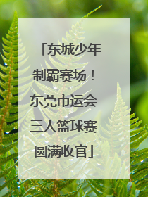 东城少年制霸赛场！东莞市运会三人篮球赛圆满收官
