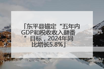 东平县锚定“五年内GDP和税收收入翻番”目标，2024年同比增长5.8%