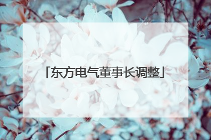 东方电气董事长调整