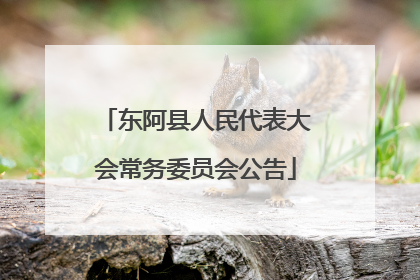 东阿县人民代表大会常务委员会公告