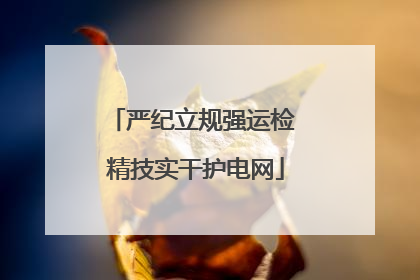 严纪立规强运检 精技实干护电网