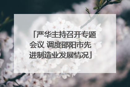严华主持召开专题会议 调度邵阳市先进制造业发展情况