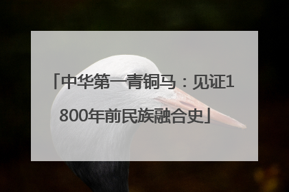 中华第一青铜马：见证1800年前民族融合史