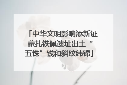 中华文明影响添新证 蒙扎铁佩遗址出土“五铢”钱和斜纹纬锦