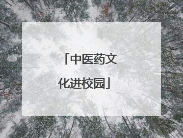 中医药文化进校园