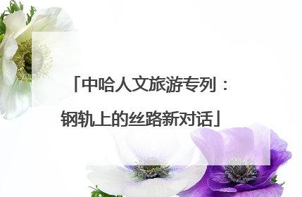 中哈人文旅游专列：钢轨上的丝路新对话