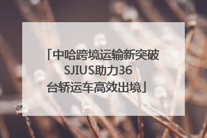 中哈跨境运输新突破 SJIUS助力36台轿运车高效出境