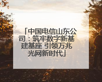 中国电信山东公司：筑牢数字新基建基座 引领万兆光网新时代