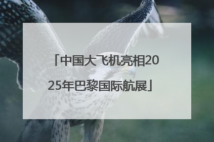 中国大飞机亮相2025年巴黎国际航展