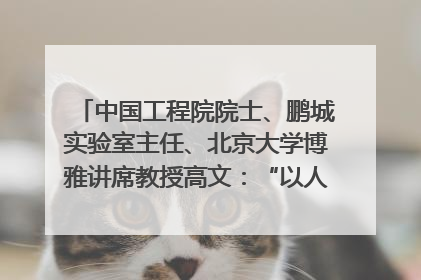 中国工程院院士、鹏城实验室主任、北京大学博雅讲席教授高文：“以人为本 智能向善” 推动文化与科技相生相促｜聚焦2025文化强国建设高峰论坛