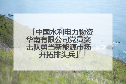 中国水利电力物资华南有限公司党员突击队勇当新能源市场开拓排头兵