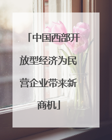 中国西部开放型经济为民营企业带来新商机