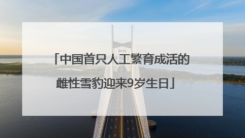 中国首只人工繁育成活的雌性雪豹迎来9岁生日