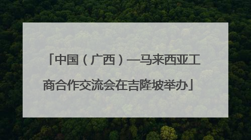 中国（广西）—马来西亚工商合作交流会在吉隆坡举办