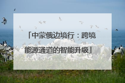 中蒙俄边境行：跨境能源通道的智能升级