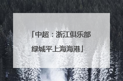 中超：浙江俱乐部绿城平上海海港
