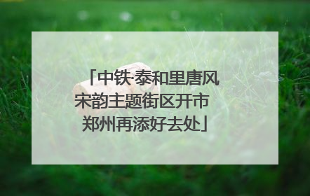 中铁·泰和里唐风宋韵主题街区开市 郑州再添好去处