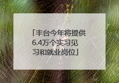 丰台今年将提供6.4万个实习见习和就业岗位