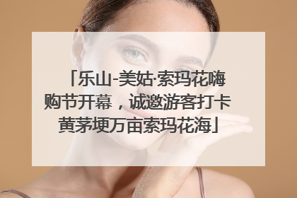 乐山-美姑·索玛花嗨购节开幕，诚邀游客打卡黄茅埂万亩索玛花海