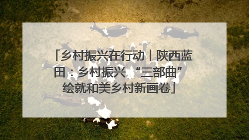 乡村振兴在行动丨陕西蓝田：乡村振兴 “三部曲” 绘就和美乡村新画卷