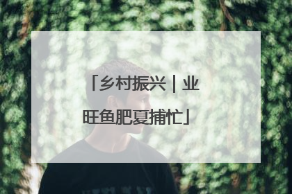 乡村振兴｜业旺鱼肥夏捕忙