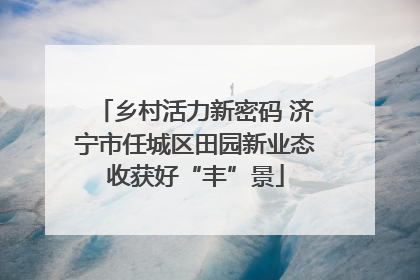 乡村活力新密码 济宁市任城区田园新业态收获好“丰”景