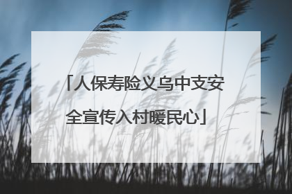 人保寿险义乌中支安全宣传入村暖民心