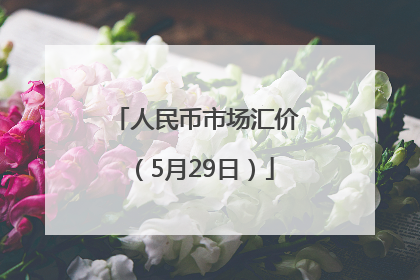 人民币市场汇价（5月29日）