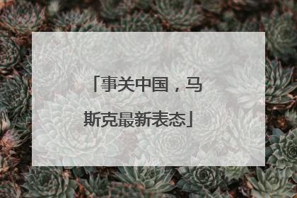 事关中国，马斯克最新表态