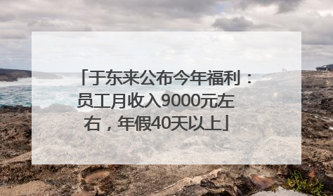 于东来公布今年福利：员工月收入9000元左右，年假40天以上