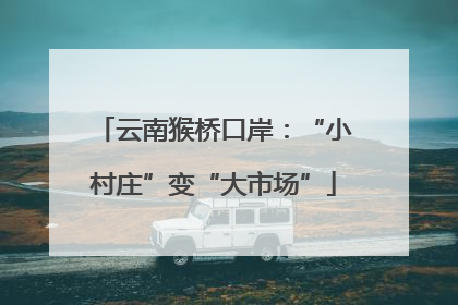 云南猴桥口岸：“小村庄”变“大市场”