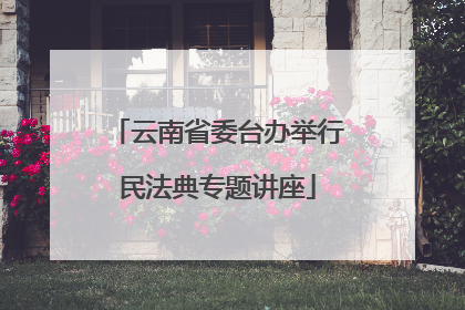 云南省委台办举行民法典专题讲座