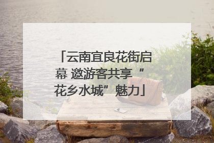 云南宜良花街启幕 邀游客共享“花乡水城”魅力