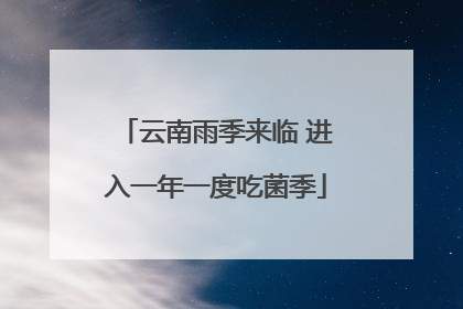 云南雨季来临 进入一年一度吃菌季