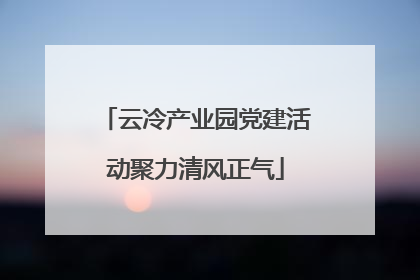 云冷产业园党建活动聚力清风正气