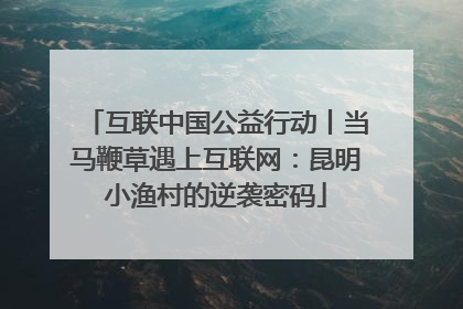 互联中国公益行动丨当马鞭草遇上互联网：昆明小渔村的逆袭密码