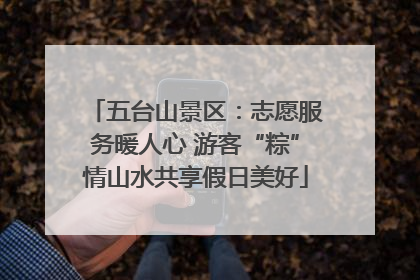 五台山景区：志愿服务暖人心 游客“粽”情山水共享假日美好